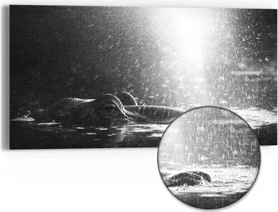 Produktbild von DEQORI Hybrid Leinwand Bild 60x30 cm 'Lichtspiel am Fluss' Wandbild Glas flach modern
