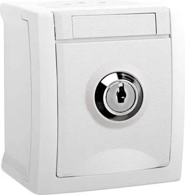 Produktbild von Steckdose abschließbar Nr.1 FR-AP ws 90591141-DE
