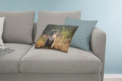 Produktbild von MuchoWow® Zierkissen Sofakissen Wohnzimmer Dekokissen 60x40 cm Koala - Sonne - Tier - Kinder - Jungen - Mädchen - Kopfkissen - Polster mit Foto