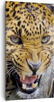 Produktbild von Bild auf Leinwand - Leinwandbild - Leopard tier savanne afrika - 55x100cm - Wand Bild - Wanddeko - Leinwanddruck - Bilder - Kunstdruck - Wanddekoration - Leinwand bilder - Wandkunst - PA55x100-2728