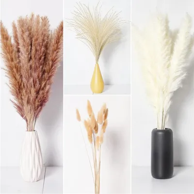 Produktbild von Pampasgras Dekoration - Set von 70 - weiß-beige - natürlich