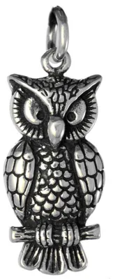Produktbild von Silberanhänger Eule - Uhu 925er Silber Schmuck - Vögel - 36x14mm