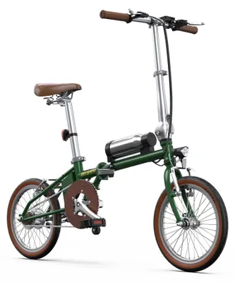 Image de Vélo électrique PVY LS20 - Moteur sans balais 48 V 250 W (puissance de pointe 1 000 W) - Roues de 50,8 cm (20") - Autonomie de 31 à 60 km - Vélo de ville biplace - Vert