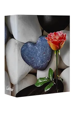 Produktbild von VMC ALBUM für 304 Fotos 10x15 cm. keine Beschreibung STONE Rose
