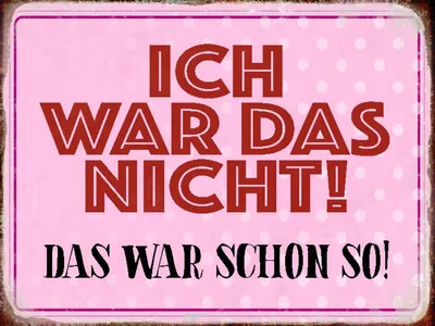 Produktbild von vianmo Holzschild 30x40 cm ich war das nicht das war schon