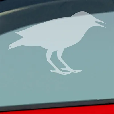 Produktbild von Auto Aufkleber Rabe Vogel Bird Vogelfreund 15x10 cm Milchglas Sticker Heckscheibenaufkleber