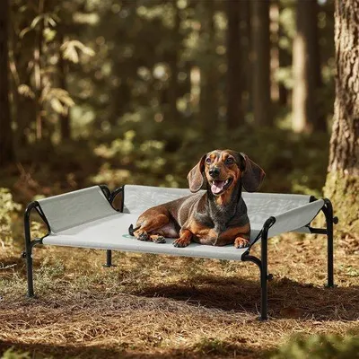 Image de Lit surélevé pour chien, gris, taille S, 88 x 55,5 x 31 cm, robuste et lavable