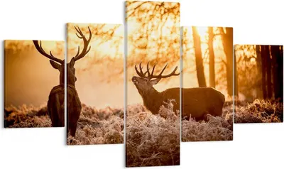 Produktbild von Bild auf Leinwand - Leinwandbild - Deer Heidekraut Tier - 125x70cm - Wand Bild - Wanddeko - Leinwanddruck - Bilder - Kunstdruck - Wanddekoration - Leinwand bilder - Wandkunst - EA125x70-3043