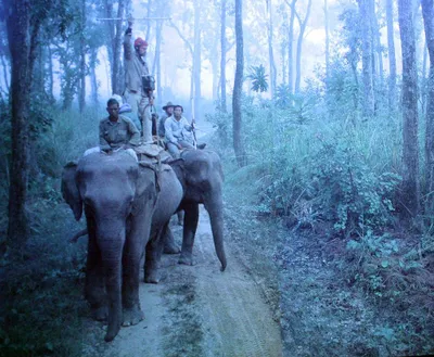 Indien