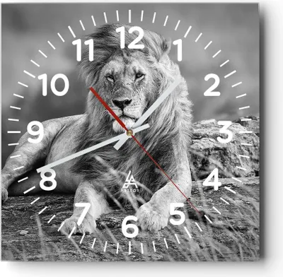 Produktbild von Wanduhr - Quadrat - Glasuhr - Löwe Tier Natur - 30x30cm - Schleichendes Uhrwerk - Lautlos - zum Aufhängen bereit - Dekoration Modern - Wanddekoration aus Glas - C4AC30x30-3931