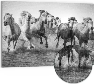 Produktbild von DEQORI Hybrid Leinwand Bild 90x60 cm 'Freiheit im Galopp' Wandbild Glas flach modern