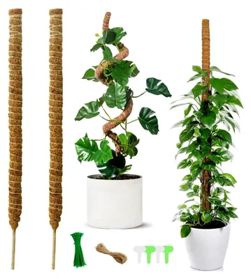 Produktbild von 2 Stück 120 cm Monstera Rankhilfe, Kokos Pflanzstab, Moosstab für Kletterpflanzen