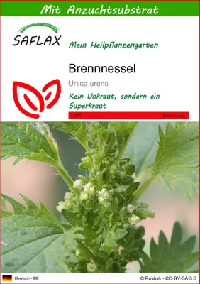 Produktbild von SAFLAX - Brennnessel - Urtica urens - 150 Samen - Mit keimfreiem Anzuchtsubstrat