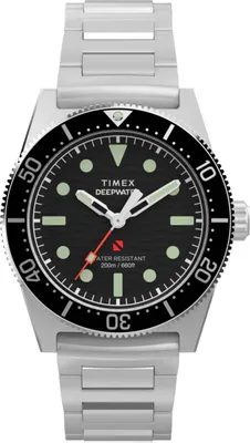 Obrázek produktu pro Stříbrné hodinky Timex TW2W95200