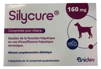 Produktbild von Sylicure 160Mg - Anidev