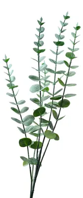 Obrázek produktu pro Clayre & Eef Umělá rostlina 69 cm zelená plastová