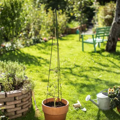 Produktbild von Windhager Rankturm Pyramide, faltbar, pulverbeschichtet, Stahlkern, 1.5 m Höhe, grün