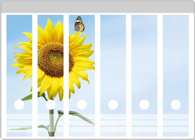 Produktbild von Wallario Ordnerrücken Sticker, selbstklebend für breite Ordner, 6 Stück, Motiv Sonnenblume mit Schmetterling
