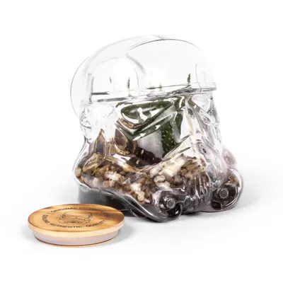 Produktbild von Thumbs Up Original Stormtrooper Vorratsdose / Terrarium Trooper THUP-A1002374