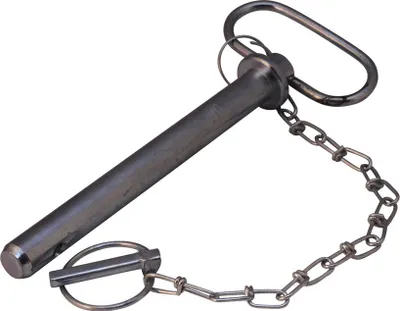 Bolze mit Kette Ø25 160mm