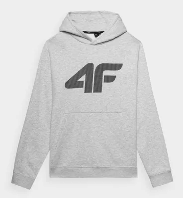 Produktbild von 4F M1464 Herrensweatshirt mit Kapuze Grau Größe M