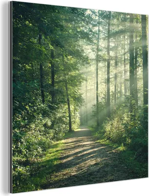 Produktbild von MuchoWow Wanddekoration Metall Metallbild Wandkunst 20x20 cm Wald - Weg - Sonne - Bäume - Grün - Natur MuchoWow Aluminium Gemälde - Alu Dibond Bilder