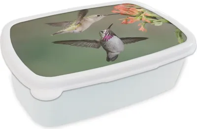 Produktbild von KitchenYeah® Lunchbox Brotzeit Brotdose 17x11 cm Kolibri - Vogel - Blume Kinder Brotzeitdose - Lunch Box - Kinder - Sandwich-Box - Schulbox - Lunch Boxen