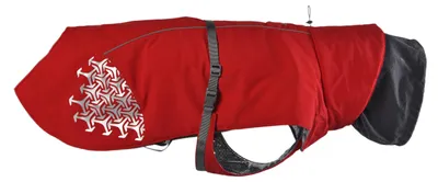 Hunde-Winterjacke, winddicht, reflektierend, rot, groß