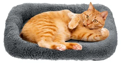 Produktbild von Kleines Hundebett und Katzenbett, orthopädische Hundebetten, angstlösend und beruhigend (M)