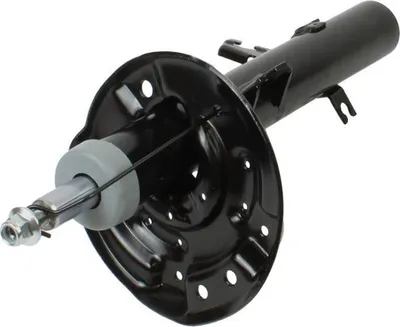 Produktbild von MAXGEAR Stoßdämpfer Vorne Links für RENAULT Koleos II (HC) Federbein 11-1482
