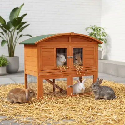 Several rabbits are shown around a wooden multi-level hutch filled with straw.