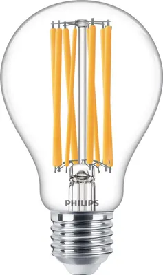 Immagine prodotto di Philips 8718699762377 Lampada LED 17 W D