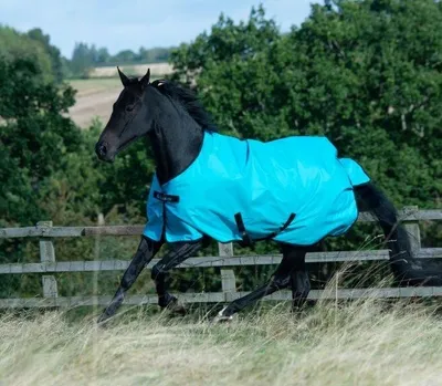 Produktbild von BUCAS Freedom Turnout light 0g Weidedecke/Regendecke sweet blue OHNE Halsteil, Buc17_Gr.:155cm