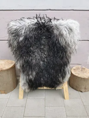 Produktbild von Selten gelockte Island Schaffelle in Schwarz geflammt.Größe:80cm - 90cm