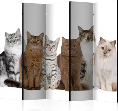 Produktbild von 5-teiliger Doppelseitiger Vlies Paravent - Sweet Cats II 225x172 cm Tiere g-B-0066-z-c