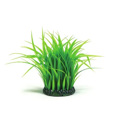 Obrázek produktu pro biOrb Grass ring M green