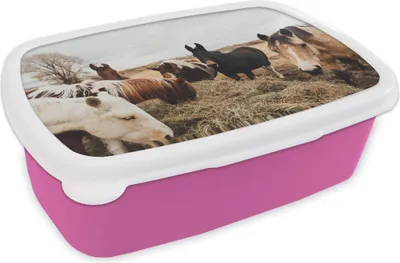 Produktbild von KitchenYeah® Lunchbox Brotzeit Brotdose 17x11 cm Tiere - Pferd Kinder Brotzeitdose - Lunchpaket - Brotkasten  - Sandwich Box