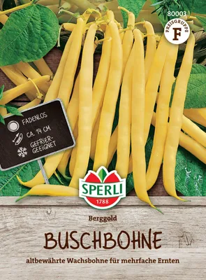 Produktbild von Buschbohne Berggold | Buschbohnensamen von Sperli