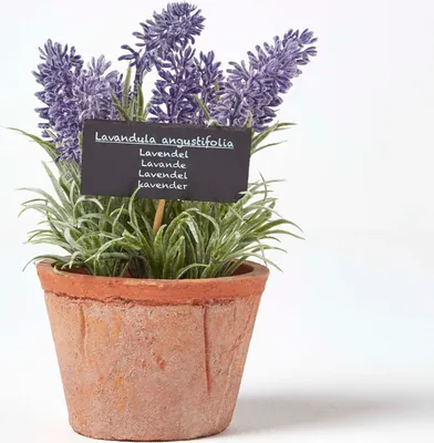 Produktbild von HOMESCAPES Künstliche Lavendel-Topfpflanze
