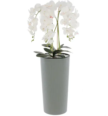 Immagine prodotto di Orchidea artificiale bouquet bianco in vaso fiori H 107,5 cm vaso grigio scanalature
