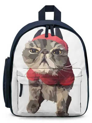 Imagen del producto de Mochila escolar para niños - Azul, ligera