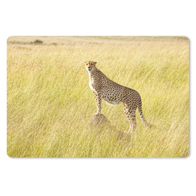 Produktbild von MuchoWow® Schreibtischunterlage Gepard in der Masai Mara 60x40 cm - XXL Mauspad - Großes Mauspad