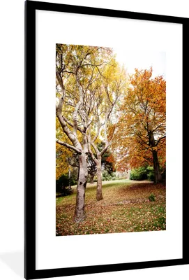 Produktbild von MuchoWow® Gerahmtes Poster Herbst - Bäume - Laub - Natur 60x90 cm - Poster mit Schwarzem Bilderrahmen Wandposter Rahmen Foto Bilder - Dekoration - Wandposter Wohnzimmer - Hochwertig
