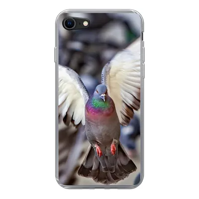 Produktbild von MuchoWow® Handyhülle Schutzhülle Hülle für iPhone 8 Nahaufnahme einer fliegenden Taube Silikon Softcase Handy Hülle - Schutzhaube