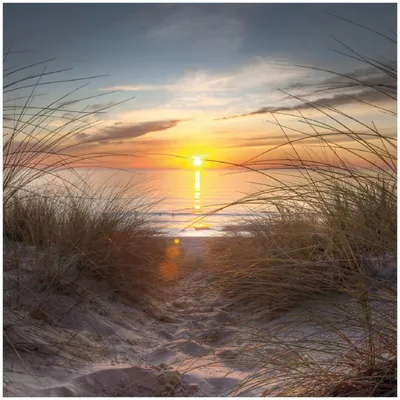 Produktbild von Wallario Premium Glasbild, freischwebende Optik, kräftige Farben, Größe 30 x 30 cm Motiv Sonnenuntergang am Strand