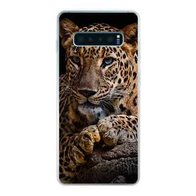 Produktbild von MuchoWow® Handyhülle Schutzhülle Hülle für Samsung Galaxy S10 Plus Wildtiere - Panther - Porträt - Schwarz - Tiere Silikon Softcase Handy Hülle - Schutzhülle
