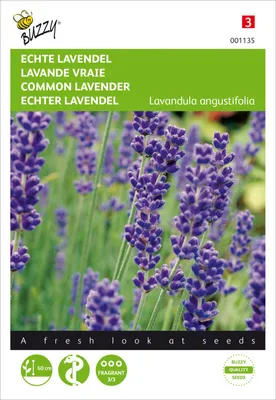 Artikelbild 2 von 'could not prepare statement [Connection is closed] [select d1_0.id,d1_0.changeTrackingIgnoredFields,d1_0.config,d1_0.created_at,d1_0.customer_id,d1_0.databasetype,d1_0.schema_id,d2_0.id,d2_0.created_at,d2_0.customer_id,d2_0.fielddefiniti
