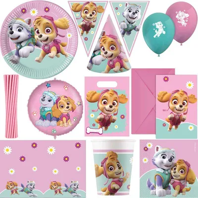 Produktbild von Party Deko Set Paw Patrol Skye & Everest XXL Partyset zum Kindergeburtstag in rosa Mädchen Geburtstag