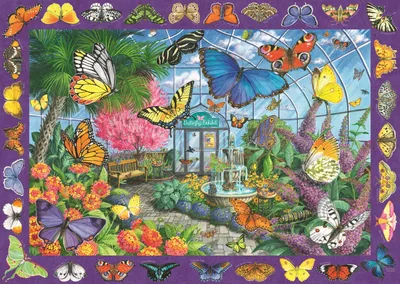 Image de RAVENSBURGER Butterfly Kingdom Puzzle 1000 pièces