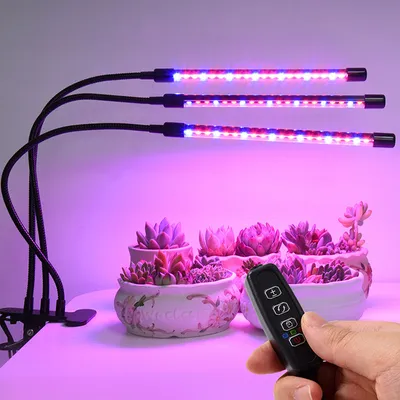 Zdjęcie produktu dla Clanmacy 30 W lampa do uprawy roślin, oświetlenie LED do uprawy roślin – automatyczny timer 3–9–12 godzin